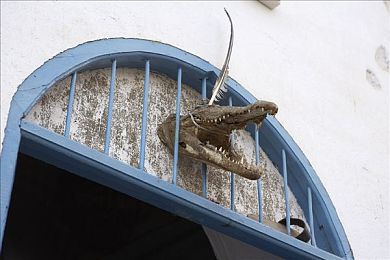 真实乱伦：赛车游戏打破血统界限，混血设计成新潮流-3