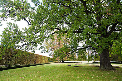 国产av激情：极速国产赛道，驾驭虚拟力量，体验真实竞速-4