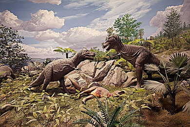 色网应用:色彩赛道,视觉飞驰的物理迷宫-2