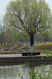 十八款未成年人禁用APP：硬核赛车新作今日上线，真实物理碰撞与地下经济系统引发热议-4