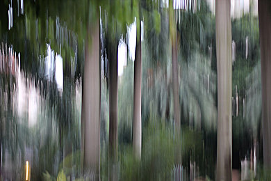 vivo黄色下载：极速明黄，赛道幻境，驾驭激情与个性的视觉交响-2