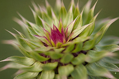 男生和女生一起搓搓的软件：双人共舞方向盘，默契挑战极速耦合深度评测-5