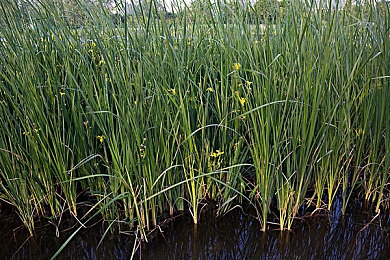 黄金软件下载3.0.3免费OPPO版大全装扮：极速定制，我的赛道由我重塑-3