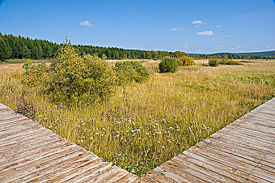 国产成人视频:霓虹城飙车新纪元,硬核驾驶解锁极致感官盛宴-4