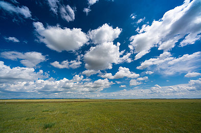 3.0.3黄：竞速游戏改装新潮流，黄金时代性能美学引爆玩家社区