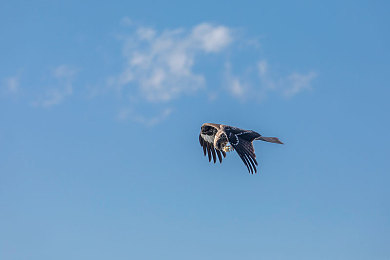 拔萝卜不盖被子：泥泞轰鸣，裸露机械的农耕竞速诗篇-4
