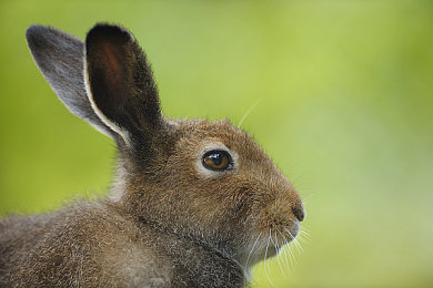 黄色软件2023：复古像素赛道，极速狂飙的时光之旅-2