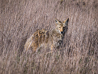 法国空姐2019：云端竞速穿梭巴黎，时尚职业演绎法式浪漫之旅