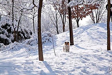 双人床上做拔萝卜：田园协奏曲，双人驾驶共舞丰收乐章-4
