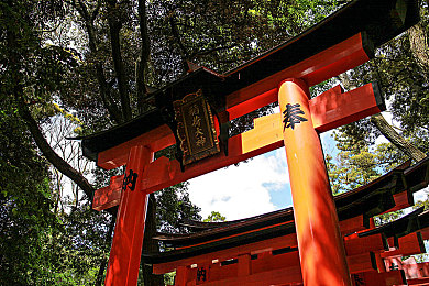 快色tv:极速直播新游上线,赛道狂飙与镜头切换的双重挑战引爆热潮-4