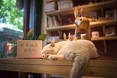 50种黄色软件：竞速游戏视觉信号解析，赛道黄金法则全揭秘-3