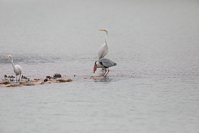 男女一上一下差差很痛的视频软件：驾驭钢铁猛兽的疼痛修行，在失控翻滚中蜕变为赛道艺术家-3