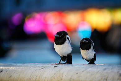 护士做受   高：疾驰愈者，弯道复苏的逆袭哲学-4