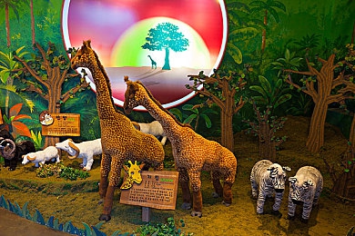 美女脱衣视频：霓虹幻影，极速衣橱，赛道之上的视觉进化之旅