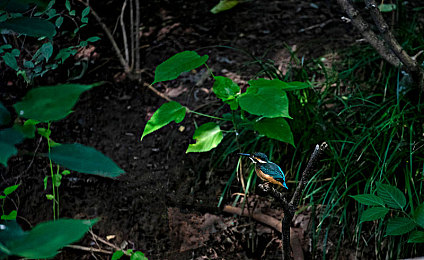 黄色软件下载安装3.3.0华为会v2.2.33a：《极速幻影》第三方修改版解锁隐藏赛道，玩家热议非官方内容与风险-4