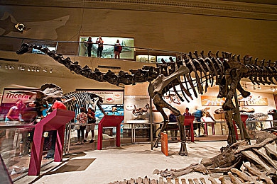 中国国产aV：盛唐风华再现，文字冒险新作以国风美学引领沉浸叙事-3