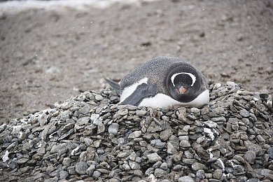 国产乱伦乱伦：驾驭家族恩怨，驰骋商业赛道，体验汽车工业内斗风云-3