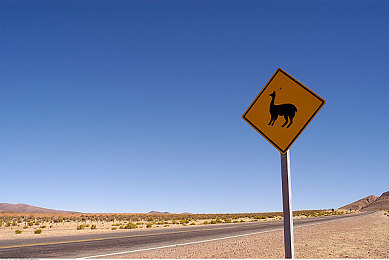 99rre66：当驾驶化为可编程的代码艺术-2