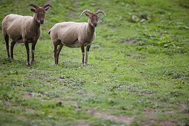 台北哪哪nana洗衣机：霓虹街巷，幻洗飞驰，都市传说与速度的奇想交响-2