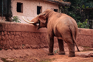 黄色软件下载3.0.3版本：《极限竞速地平线5》新版发布，亮眼涂装与性能改装重磅上线-3