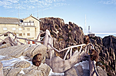 男人和女人干逼的软件：竞速新作极速对决上线，性别平衡设计引发玩家热议