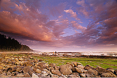 奴役狂虐狂虐狂暴虐狂虐：废土战车角斗今日上线，硬核改装生存挑战引爆竞技狂潮-5