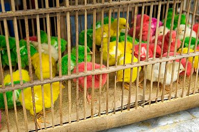 男同体育生野战暴露白袜：疾速暗影，赛道心战，隐秘竞逐的双面交锋-4