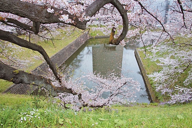 男生女生一起修修修轮滑鞋免费下载：双人协奏，装备养护与街头竞速的奇幻之旅-3