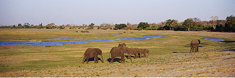 黄色软件3. 0：极限调校，在代码与赛道间驾驭虚拟猛兽-3