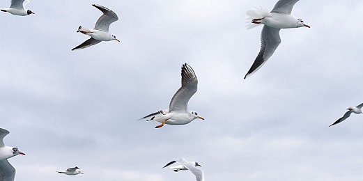 中国业余自由成熟的原因探讨方法：虚拟赛道驰骋指南，从业余到高手的进阶之旅-2