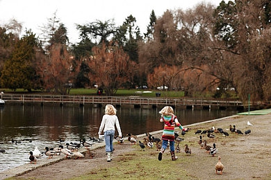 男人专属入口:极限竞速地平线,征服开放世界,体验极致驾驶激情-2