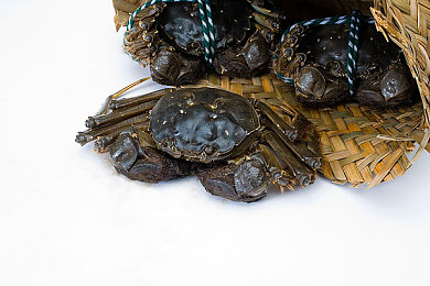 男入女的软件：虚拟引擎颠覆赛道，性别转换机制引爆竞速游戏新潮流-2