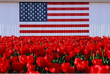 蜜桃女AV：虚拟偶像赛道狂飙，硬核竞速融合角色养成新体验-3