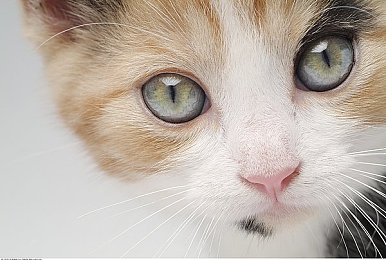 就要干综合色：极限涂装，街头竞速，梦幻战车的色彩艺术之旅-3