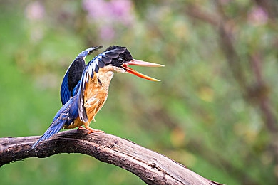 男生操女生的APP：极速对决疾风赛道全新上线，性别对抗模式点燃竞速激情-4