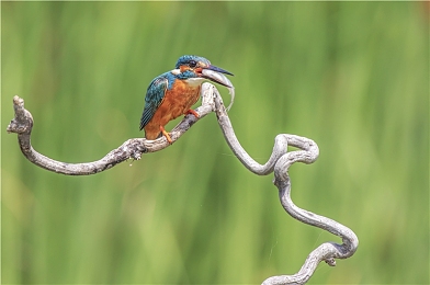 新金银屏5美国版：极速国度，改装传奇，自由驰骋的汽车文化史诗-4