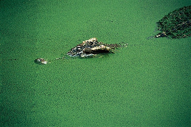 男生与女坤坤搞基基：虚拟偶像搭档深度改装，竞速游戏革新体验今日上线-3