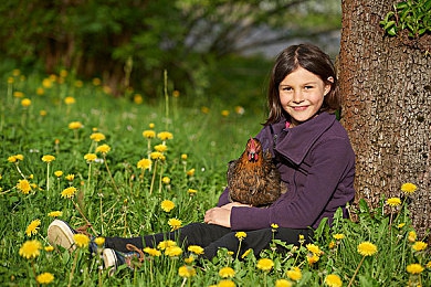 蜜桃让香蕉撞爽：果核狂飙，甜心赛道上的战略碰碰乐-3
