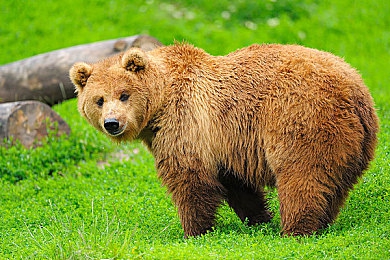 机机和机机手机免费下载版大全2025deep：2025未来都市竞速新作上线，深度机械改装颠覆传统赛车体验-4