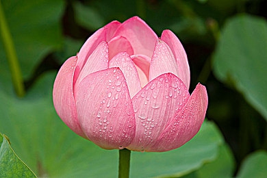 国产精品按摩：心流驾驶之旅，虚拟座椅中的舒缓驰骋艺术-2