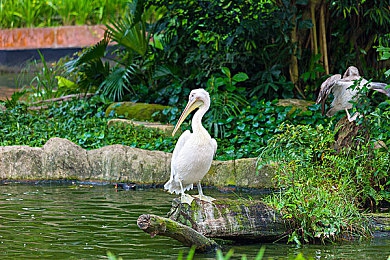 黄三色的颜色和图片：墨西哥画卷，驰骋于落日尘沙间的视觉诗篇-2