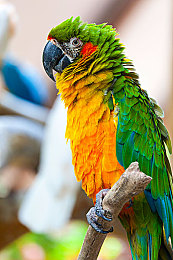 男生捅女生软件免费：极速对决上线，免费辅助软件颠覆竞速游戏平衡设计