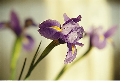 视一乱一交一做一爱：极速狂飙中与天地共舞的机械诗篇-4