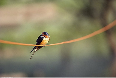 打扑克又疼：极速狂飙，卡牌对决，策略与操控的双重炼狱-3
