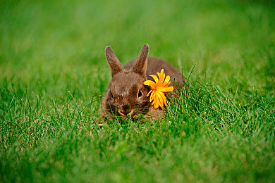 软件免费下载3.0.3免费版：极限车神，街头狂飙，释放竞速之魂的终极版本-4