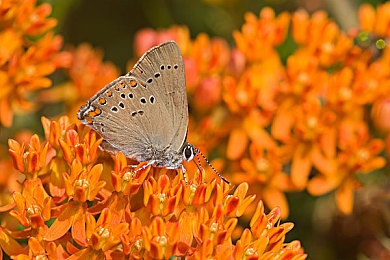 一次性教育示范课：虚拟碰撞中的真实安全启示录-2