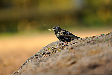 51cgfun：竞速游戏迎来战术革新，团队激斗引爆赛道新狂潮