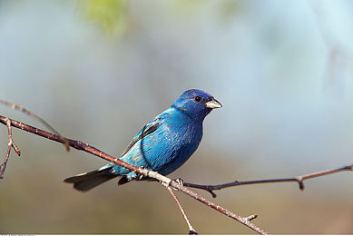 男按摩师揭秘：竞速新作独创手法驾驶系统，职业融合颠覆传统赛车体验-5