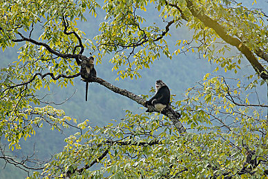 黄色.30：像素赛车新作登场，隐藏挑战与复古艺术引爆驾驶激情-3