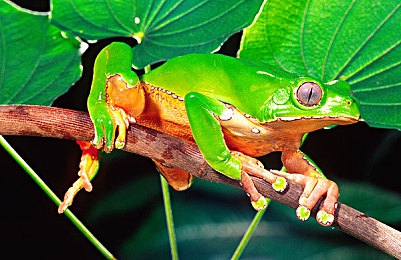 差差差下载：当极速梦想滑入现实冰场，爱与批评在赛道上碰撞-4